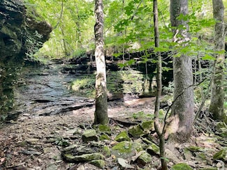 000 Old Brewer Rd N, Edgemont, AR 72044