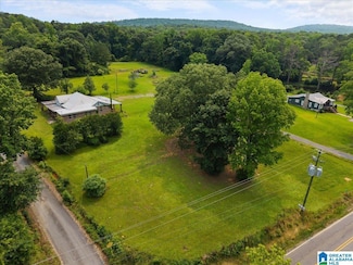 40 Sulfur Springs Rd, Springville, AL 35146