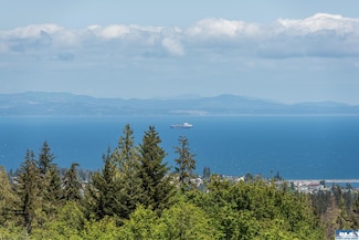 9999 Diamond Vista Dr, Port Angeles, WA 98363