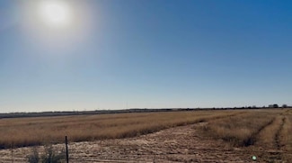 0000 Graves Rd, Snyder, TX 79549