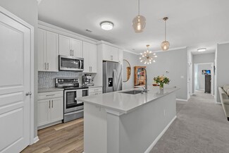 500 Bucksley Ln Unit 308, Daniel Island, SC 29492
