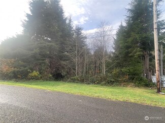 0 xxx Nelson Place, Copalis Beach, WA 98535