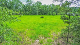 0 Springfield Egypt Rd Unit SA333454, Springfield, GA 31329