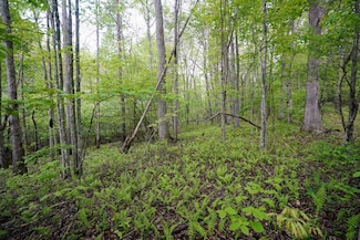 0 Glade Place Unit RTC2871994, Monterey, TN 38574