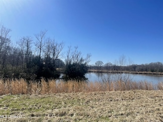 0 Myrleville Rd Unit Yazoo City Ms 39194, Benton, MS 39040