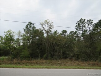 3160 E Anderson St, Inverness, FL 34453