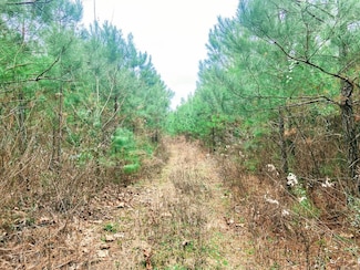 0 Falcon North 27 Unit 24032594, Falcon, AR 71858