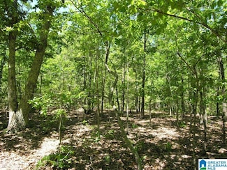 4372 S Shades Crest Rd Unit 1, Bessemer, AL 35022