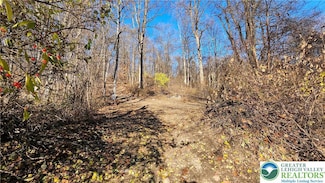 4057 Sherry Hill Rd, Hellertown, PA 18055