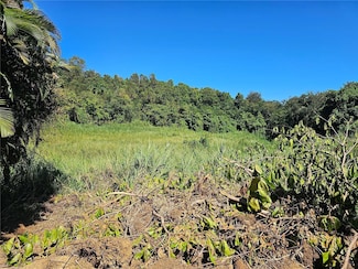 0 Pr-159, Morovis, PR 00687