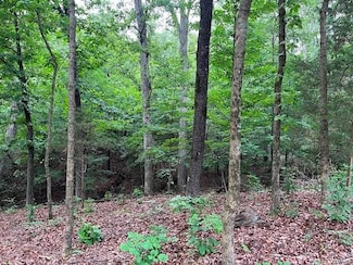 0 State Highway Ad, Dexter, MO 63841