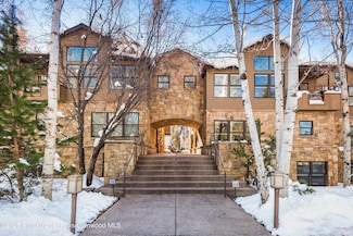 925 E Durant Ave Unit 2, Aspen, CO 81611