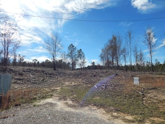 000 Little Flock Rd Unit Tract 2, Many, LA 71449