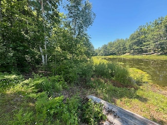 lot 41 Mohawk Trail, Clement Township, MI 48624