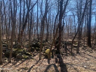 Lot 16 Cedar Ridge Rd, Hawley, PA 18428