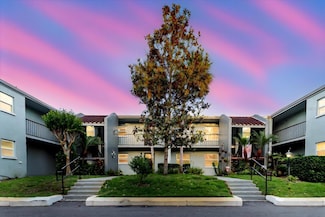 14419 Americana Cir Unit 103, Tampa, FL 33613