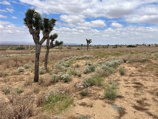 0 Vac Vic Bobs Gap Rd 175 Ste Rd Unit HD25253479, Llano, CA 93544