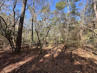 Lots 12 15 16 Coon Bottom Estate, Ponce de Leon, FL 32455