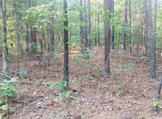 1510 Old Dolph Rd, Calico Rock, AR 72519