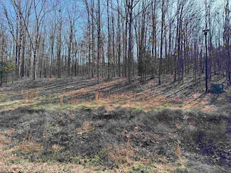 Lot 57 Rainbow Lake Rd, Austin, AR 72007