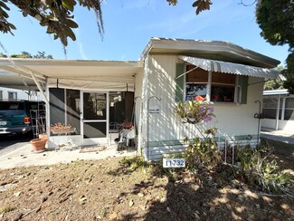 11732 Susan Halasz Ln, Thonotosassa, FL 33592