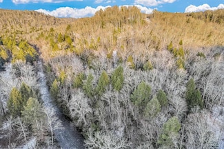 116 Laurel Loop, Bruceton Mills, WV 26525