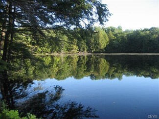 0 Lewis Rd Unit S1026510, Constantia, NY 13044