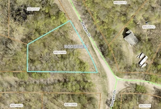 5xxx Banyan Dr, Roosevelt Township, MN 56450