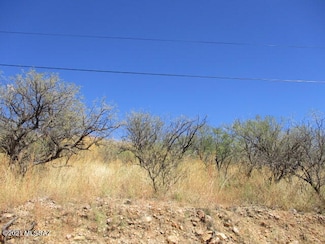 967 Corte Arboles Unit 60, Rio Rico, AZ 85648