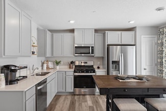 13676 Kaylemore Trail, Rosemount, MN 55068