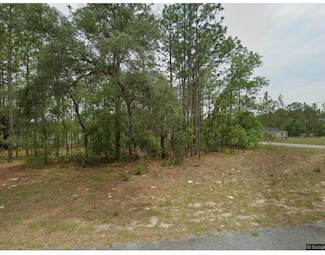 1920 W Linden Dr, Citrus Springs, FL 34434