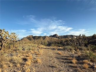 328 -05-475 N Peach Dr, Dolan Springs, AZ 86441