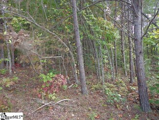 630 Dacusville Rd, Marietta, SC 29661