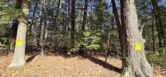 Lot 11C-1 New Hampshire 140, Alton, NH 03809