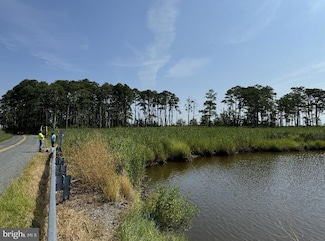 0 Elliott Island Rd Unit MDDO2009918, Vienna, MD 21869