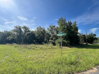 1425 W Mosswood Ln, Citrus Springs, FL 34434
