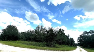 0 SW 134 Ct Unit MFROM709668, Dunnellon, FL 34432