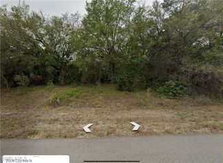 2005 Coy Ave N, Lehigh Acres, FL 33971