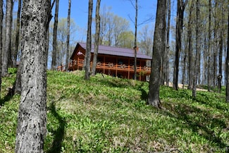 1322 W Northwoods Ln, Hardwood, MI 49834
