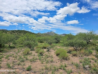 87 Alegria Rd, Tubac, AZ 85646