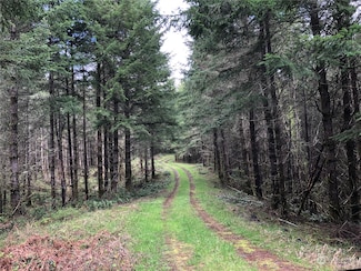217 xx Thompson Creek Rd SE, Tenino, WA 98589