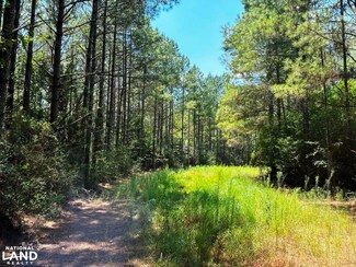 00 Benndale Rd, Wiggins, MS 39577