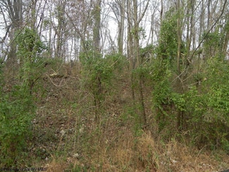 N-2 Lemley St, Morgantown, WV 26508