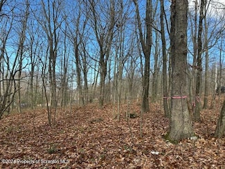 0 Archbald Mt Rd Unit GSBSC5719, Jefferson Township, PA 18436