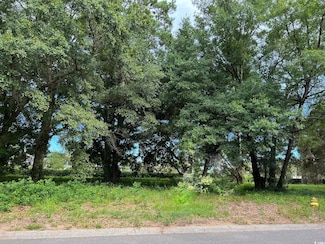 Portion Wall St, Pawleys Island, SC 29585