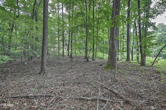 Tract  2r Payne Ridge Rd, Church Hill, TN 37642