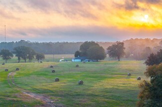 599 Anderson County Rd, Palestine, TX 75801