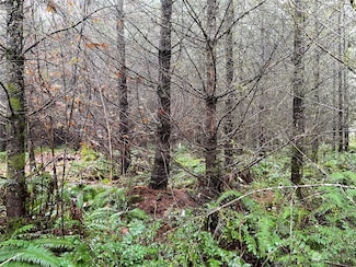 3 xx Oppelt Rd, Onalaska, WA 98570