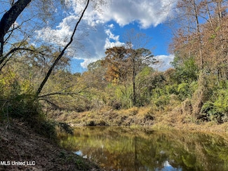 0 80 8 Acres, Carthage, MS 39051