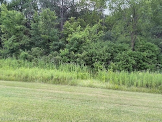 0 E Vienna Rd Unit 20251018015, Clio, MI 48420